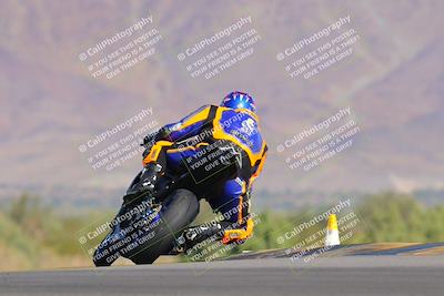 media/Nov-12-2023-SoCal Trackdays (Sun) [[5d1fba4e7d]]/Turn 9 Backside (1015am)/